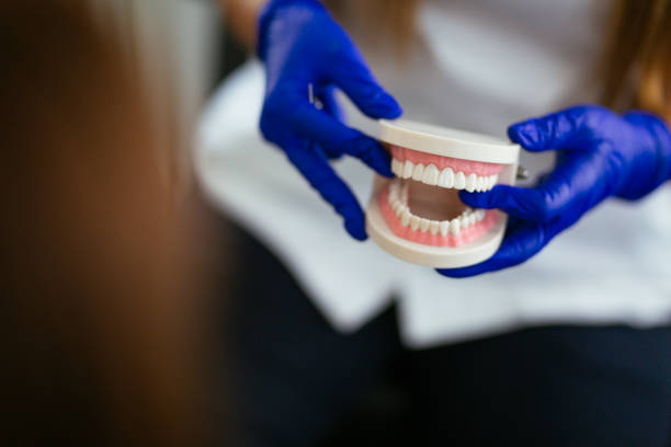 Best Preventive Dentistry  in Point Mackenzie, AK
